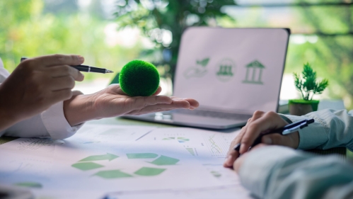 Sustainability in business with a laptop and diagrams.