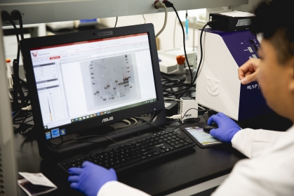 Lab student woking on genome editing.